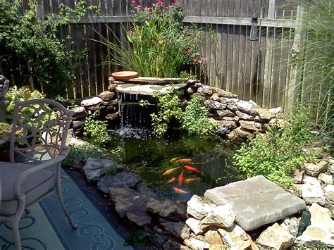 backyard fish pond|15 Hardy Fish That Thrive In Outdoor Ponds .